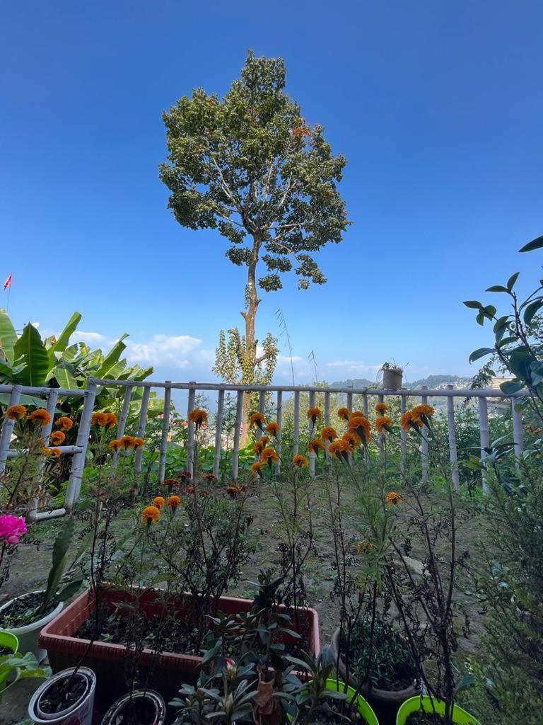 Darjeeling Bnb Ngoại thất bức ảnh