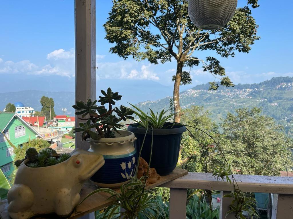 Darjeeling Bnb Ngoại thất bức ảnh